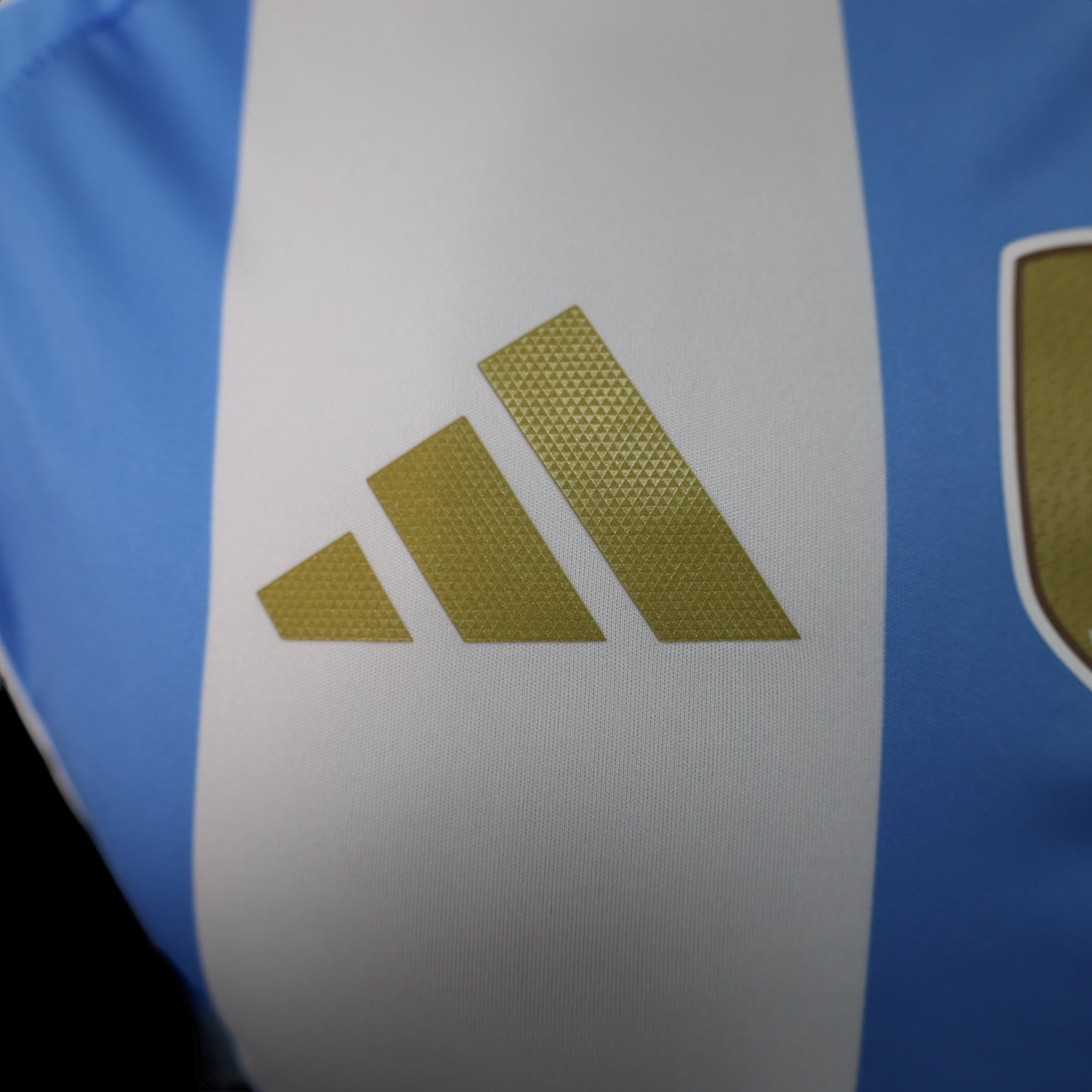 Argentina Local 24/25 Jersey Réplica Premium Versión Jugador
