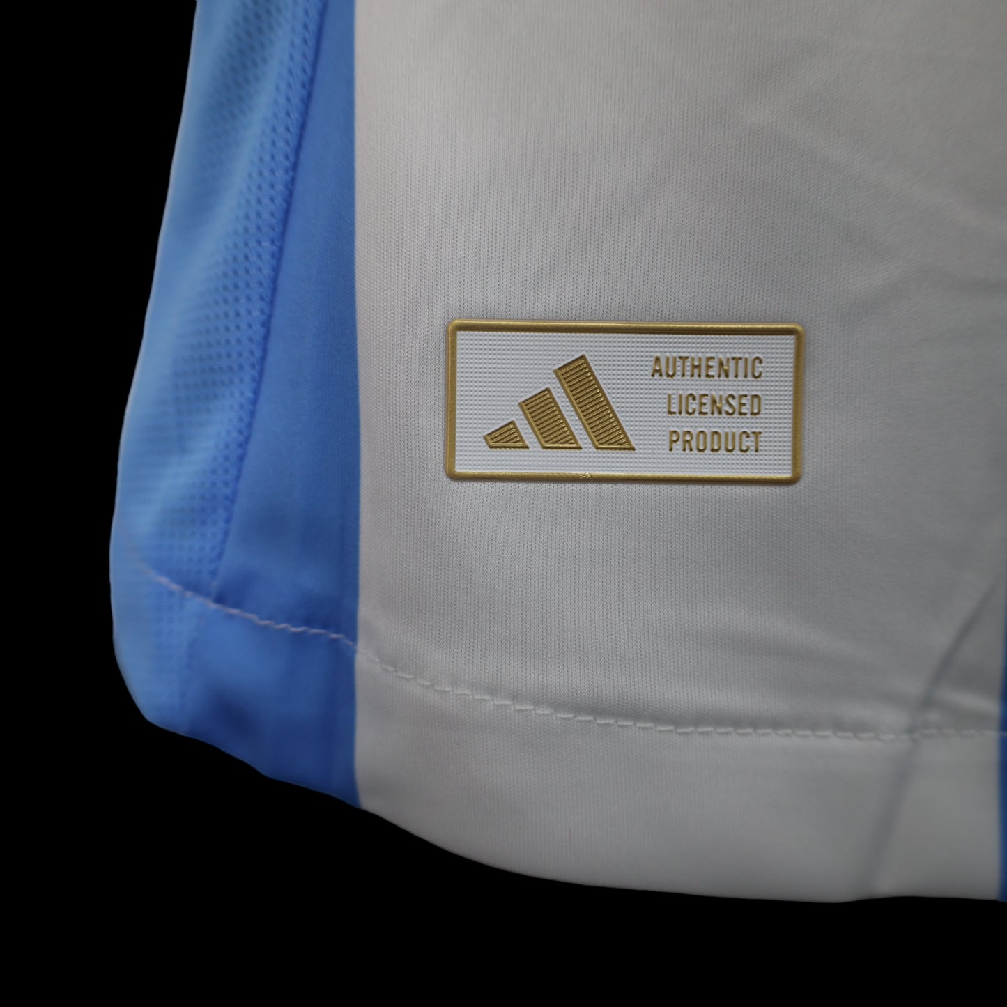 Argentina Local 24/25 Jersey Réplica Premium Versión Jugador