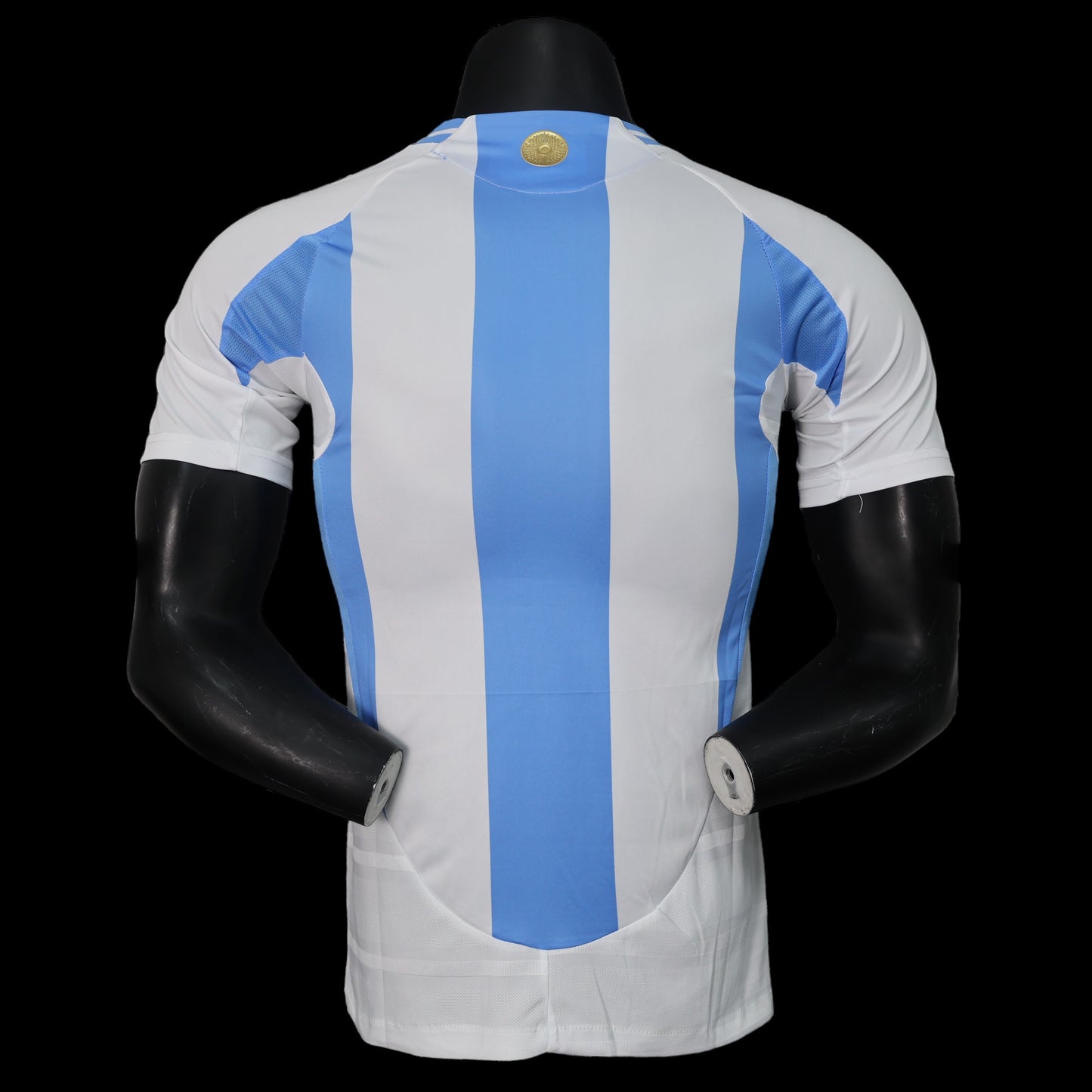 Argentina Local 24/25 Jersey Réplica Premium Versión Jugador