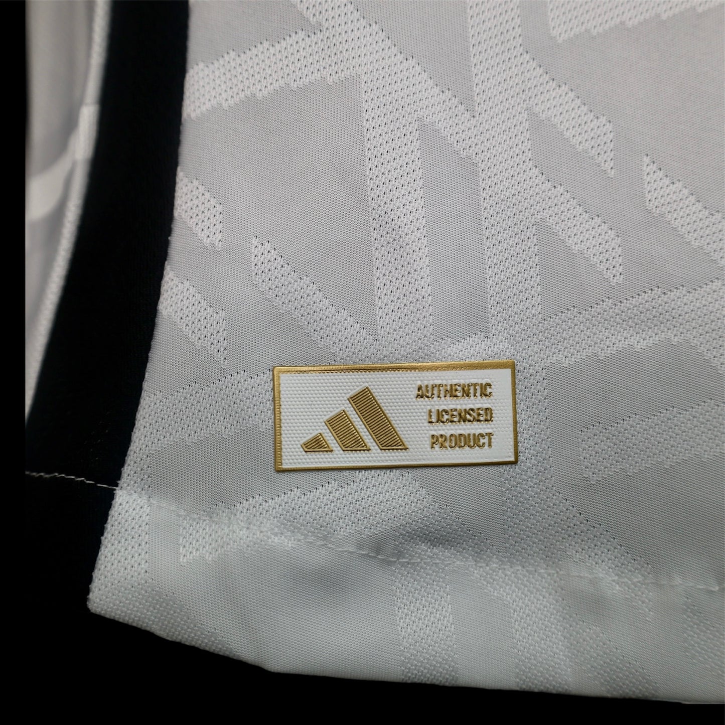 Alemania Local 24/25 Jersey Réplica Premium Versión Jugador